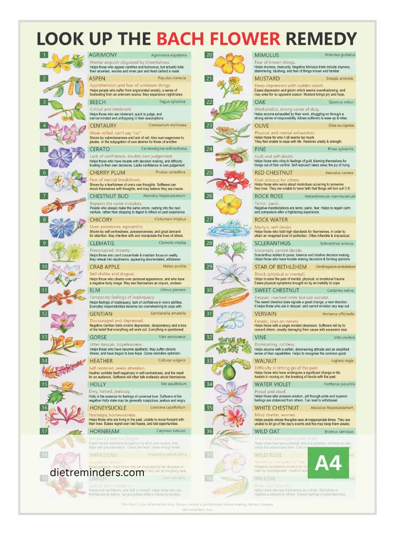 Discover the perfect Bach flower remedy for your emotional state with this innovative 2-chart diagnostic system.